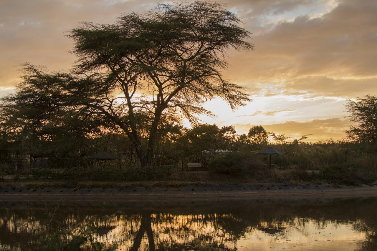 Ziwa Bush Lodge Nakuru Exterior photo